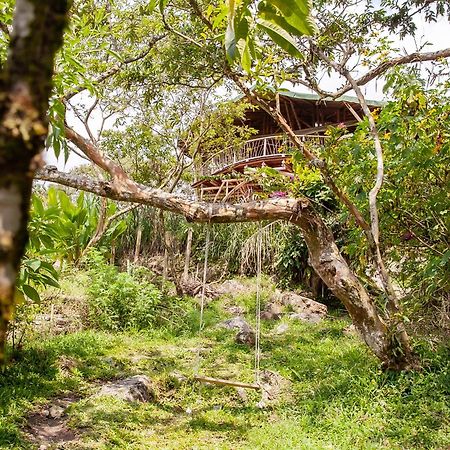 Ecofinca Fuente Alegre Cocorná Zewnętrze zdjęcie