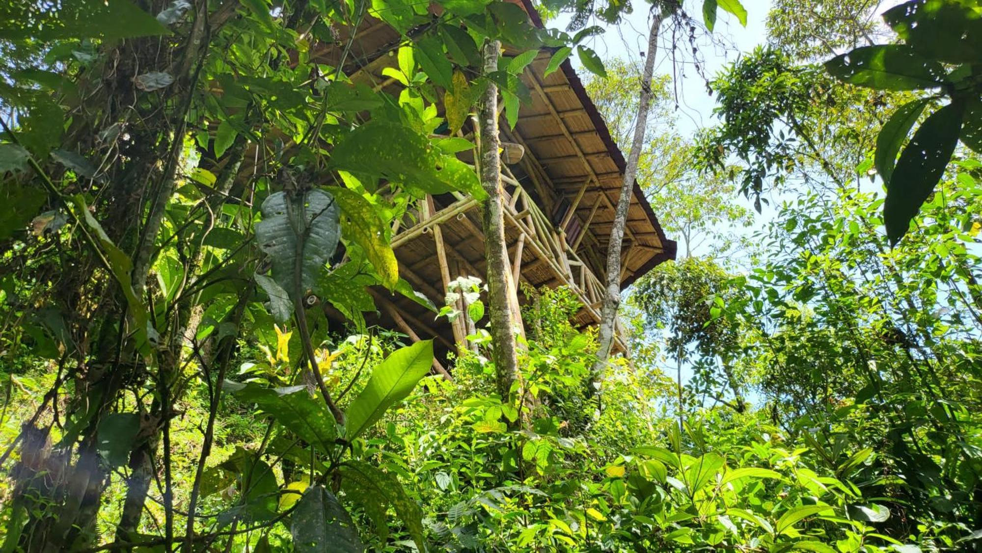 Ecofinca Fuente Alegre Cocorná Zewnętrze zdjęcie
