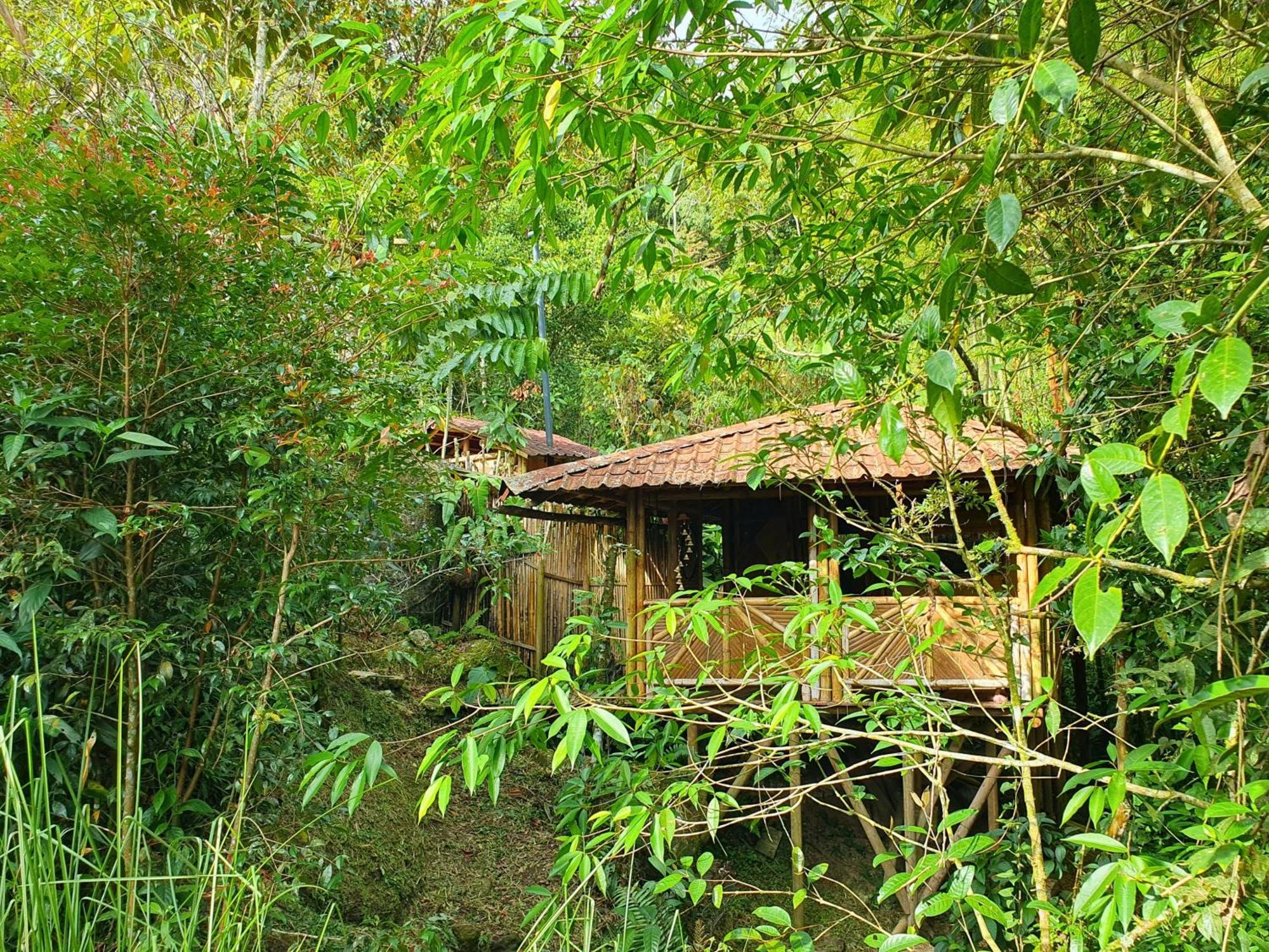 Ecofinca Fuente Alegre Cocorná Pokój zdjęcie